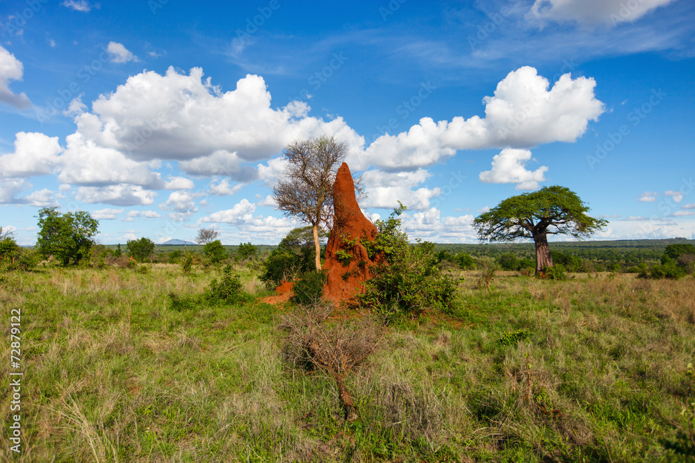 Fototapete mit Malerische Landschaft im Herzen Afrikas #72879122
