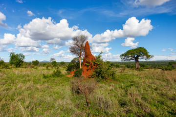Crédence de cuisine Afrique Paysage sauvage des plaines africaines  © TravelPhotoBloggers