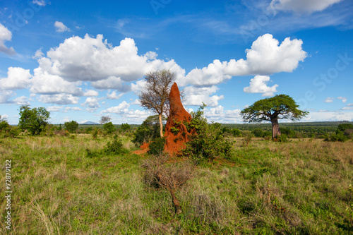 Weids landschap in Afrika