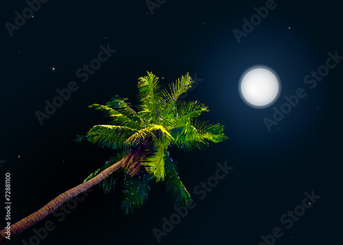 jungle at night. Vector background with moon and palm