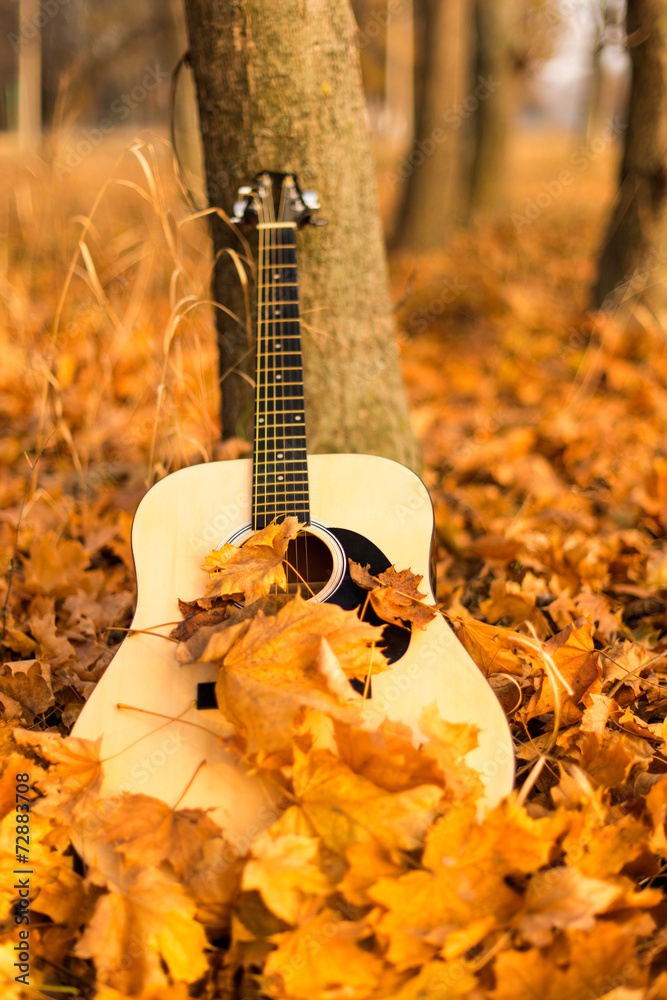 Guitar on autumn leaves Stock Photo | Adobe Stock