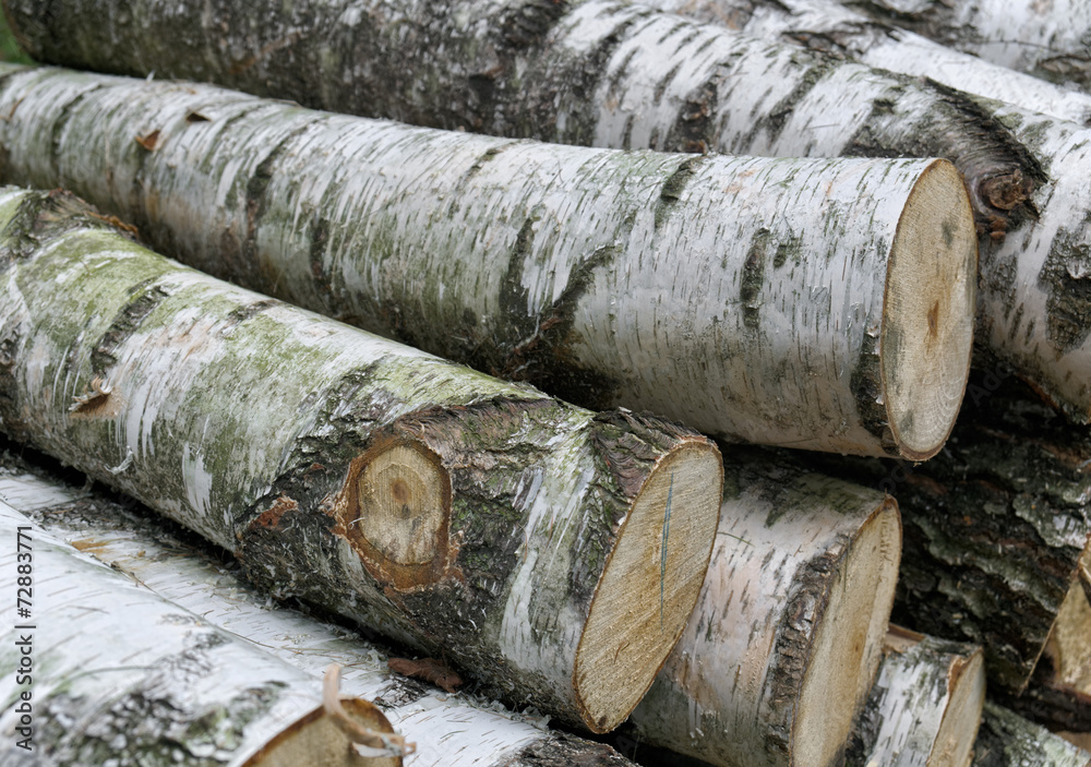 Birch wood logs Birch wood logs