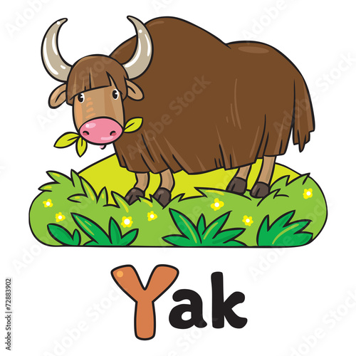 Funny wild yak, illustration for ABC. Alphabet Y