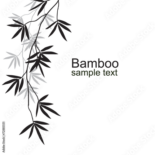 Bamboo branches
