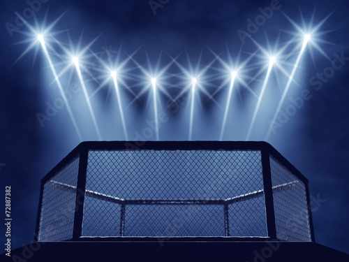 MMA cage and floodlights , MMA arena
