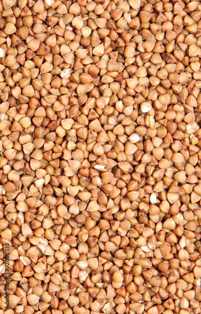 buckwheat; buckwheat;