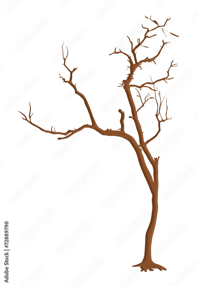 Dead Tree Branches Elements Dead Tree Branches Elements