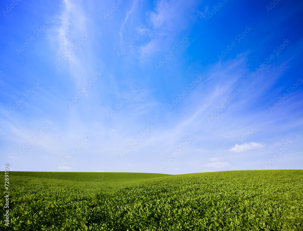 Naklejka premium Landscape