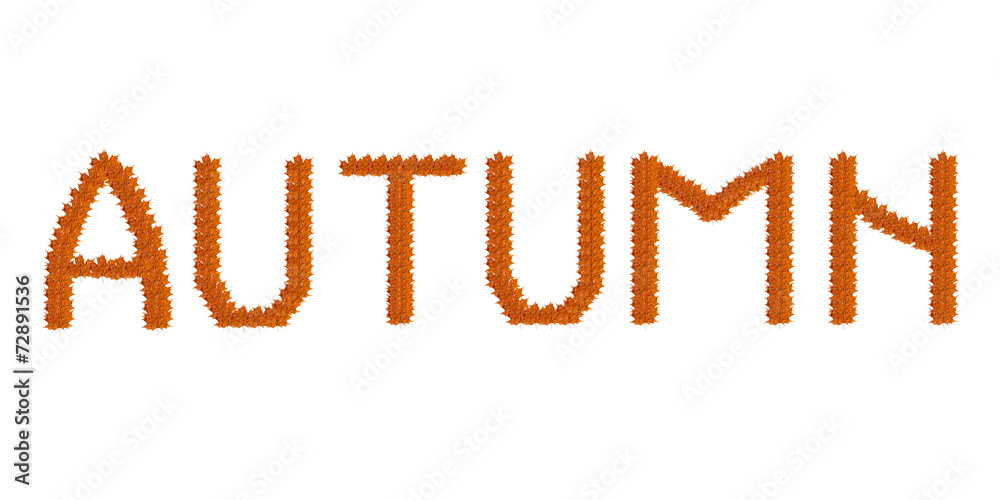 inscription Autumn on the autumn leaves inscription Autumn on the autumn leaves