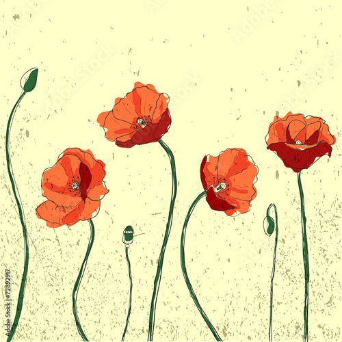 Fototapeta Naklejka Na Ścianę i Meble -  Poppy Vector Illustration