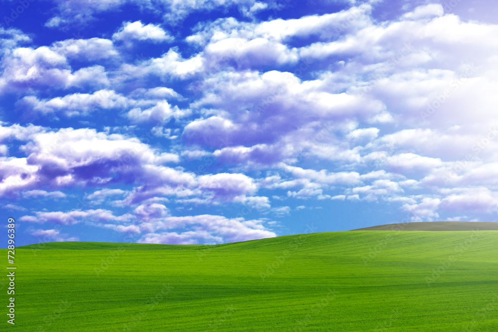 field of grass and perfect blue sky