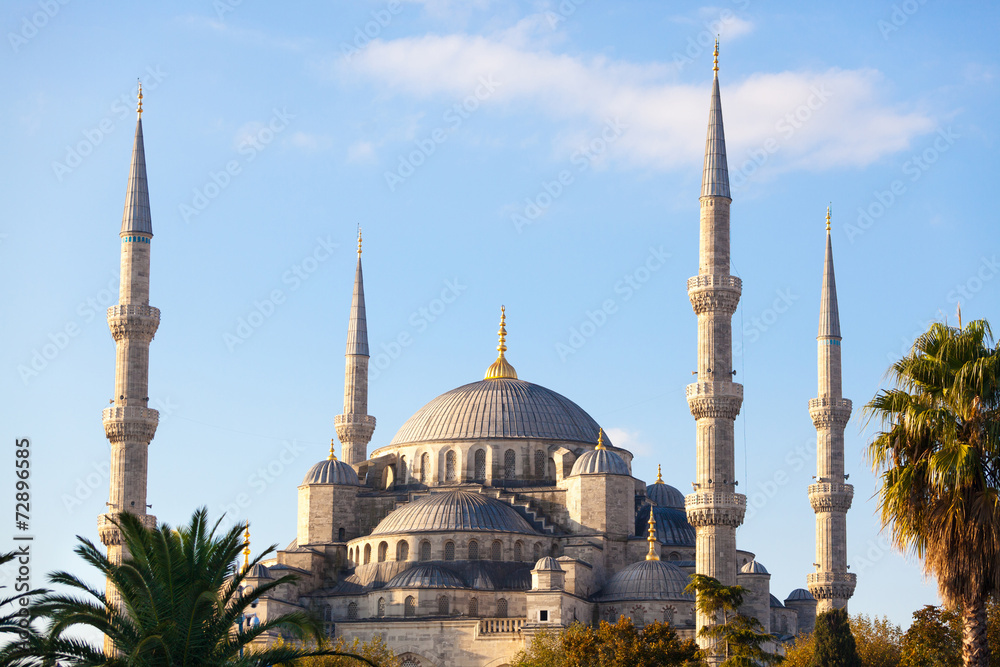 Blue Mosque in Istanbul on a sunny day