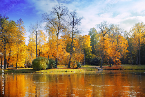 Autumn landscape