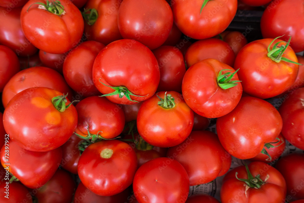 red tomatoes background. Group of tomatoes red tomatoes background. Group of tomatoes