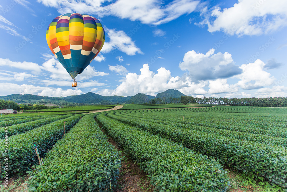 Fototapeta premium Hot air balloon over tea plantation