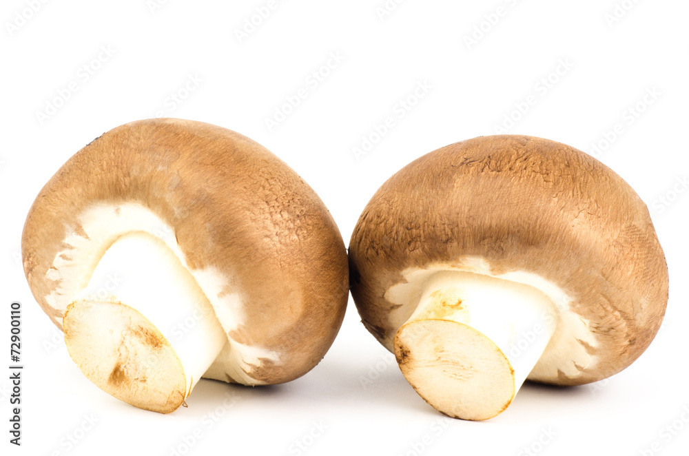 Fototapeta premium Fresh Champignon mushroom