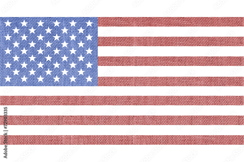 Obraz premium america flag