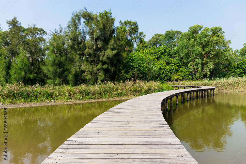 Bridge with lake and plants