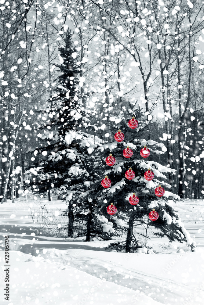 Christmas tree with red glass balls - obrazy, fototapety, plakaty 