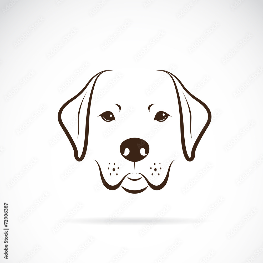 Vector image of an dog labrador Vector image of an dog labrador
