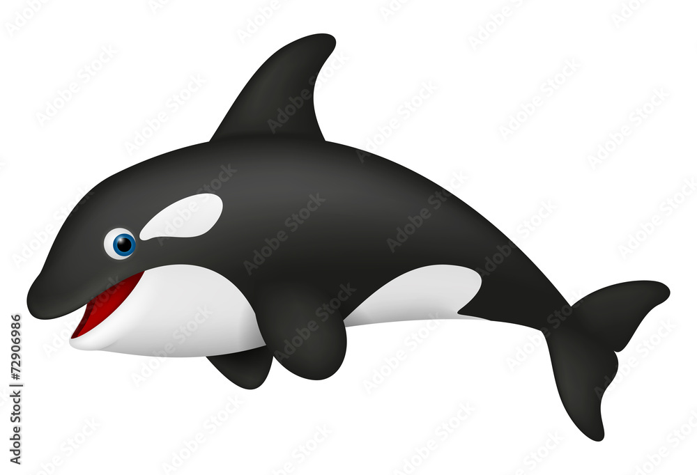 Fototapeta premium Cute realistic killer whale