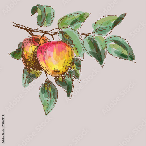 Apples background