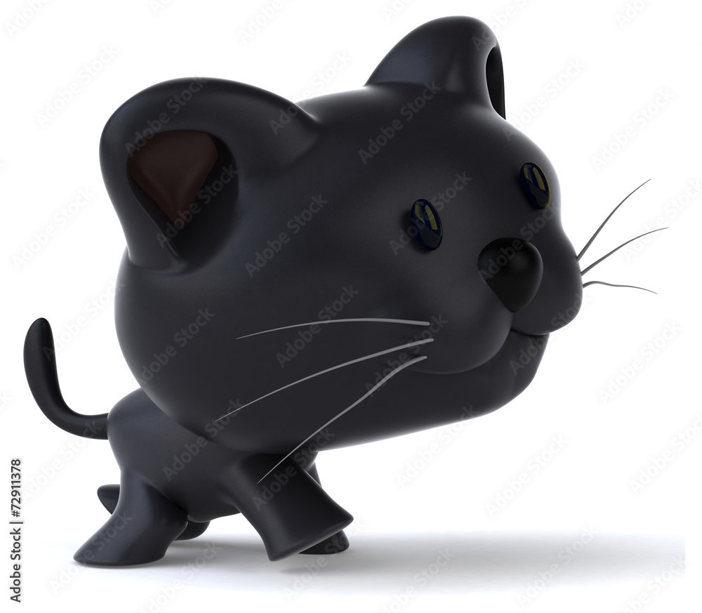 Fun cat Fun cat