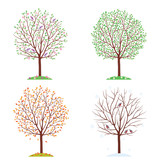 Seasons. Trees in spring, autumn, summer and winter.