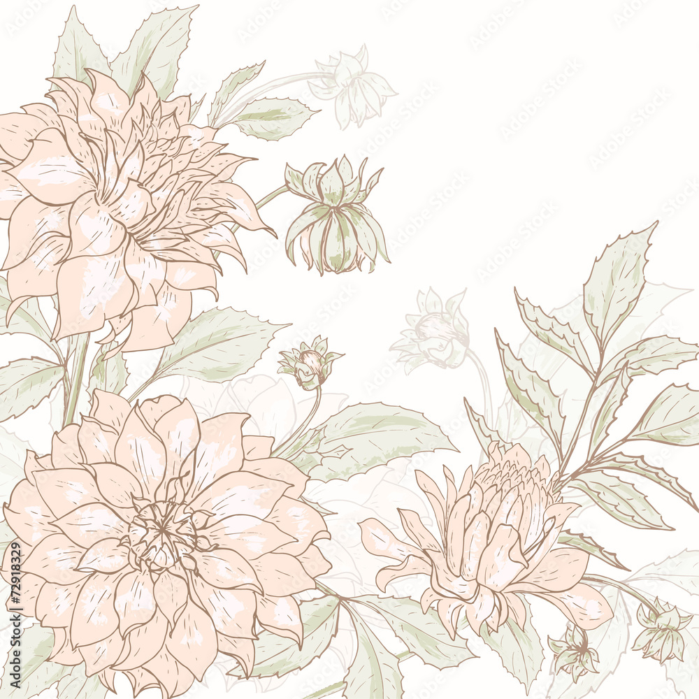 Dahlia background 2 Dahlia background 2