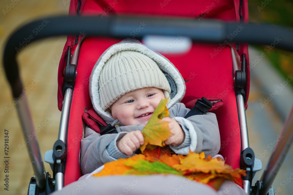 9 months boy in stroller playing with leaves 9 months boy in stroller playing with leaves