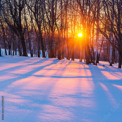 Sunset in winter forest