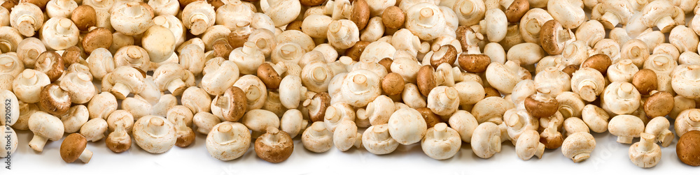 image of many mushrooms as background image of many mushrooms as background