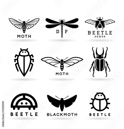 Insects (1)