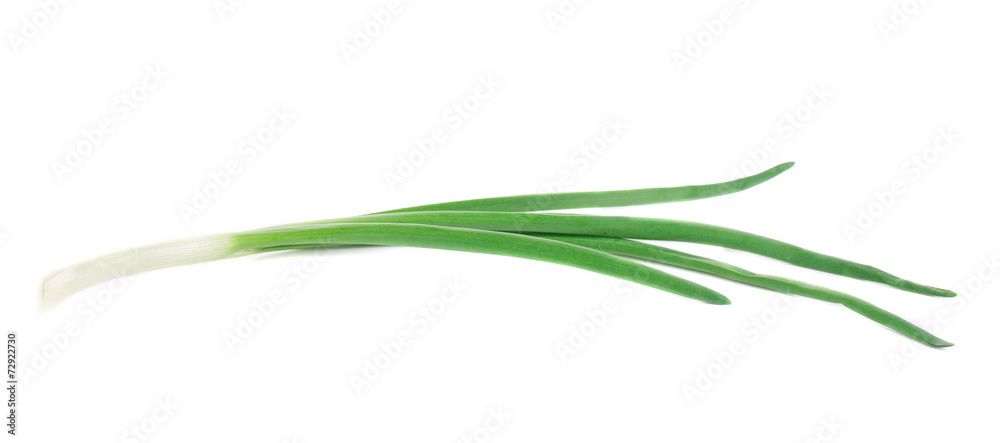 Beautiful spring onion. Beautiful spring onion.
