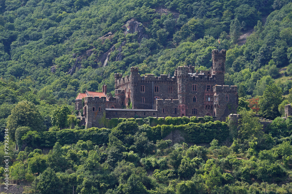 chateau de Reichenstein