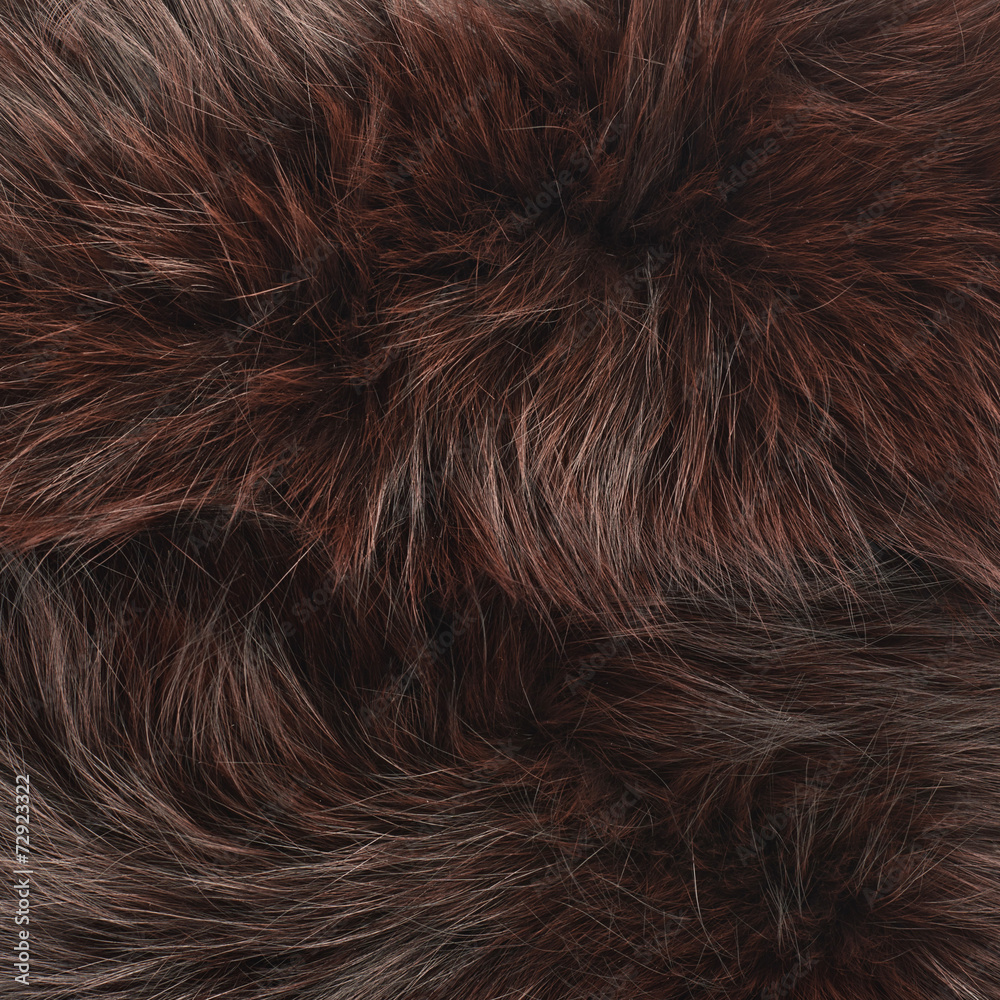 Fototapeta premium Brown fur texture