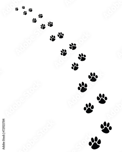 Fototapeta Naklejka Na Ścianę i Meble -  Black footprints of dogs, turn left-vector illustration