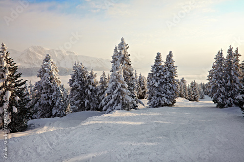Winter Landscape © Gudellaphoto