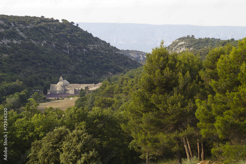 Senanque,Kloster, Provence