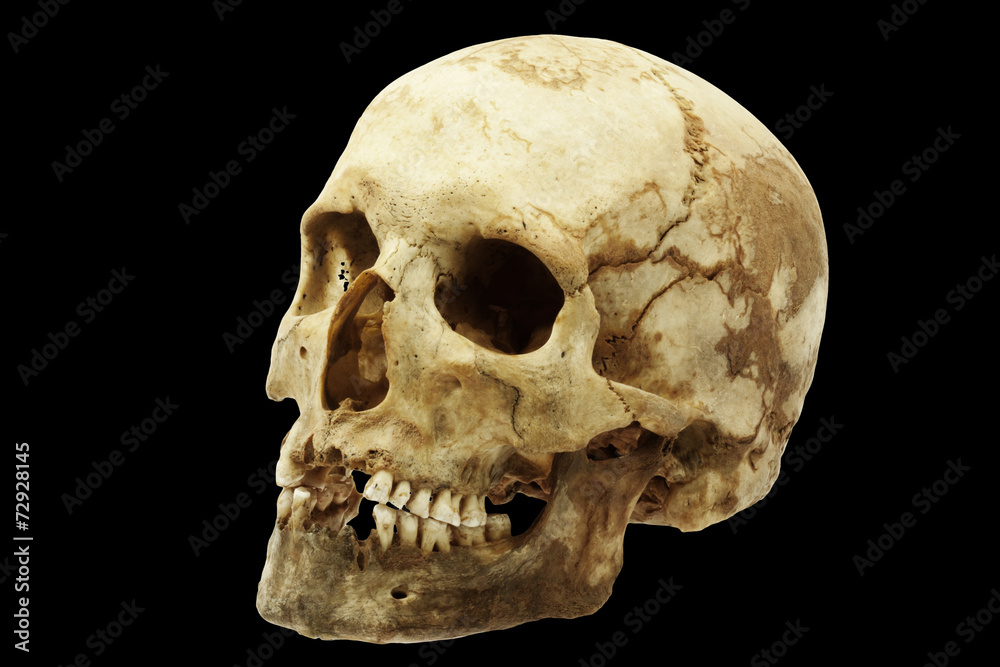 Obraz premium Genuine human skull isolated on black