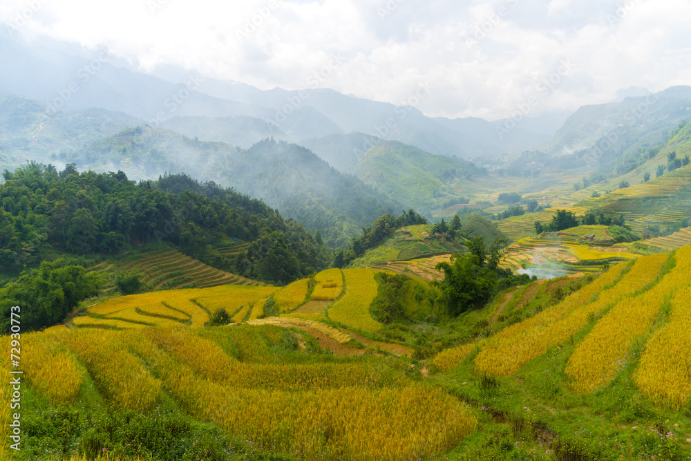Beautiful View of mountains contain terraced fields
