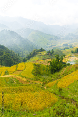 Beautiful View of mountains contain terraced fields © Picheat Suviyanond