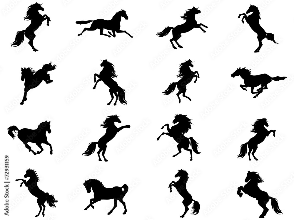 Silhouettes of animals (vector horses clipart ) 16