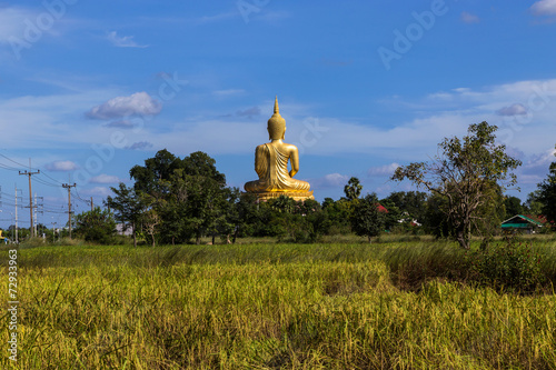 big golden buddha statue sitting with foreground on rice field