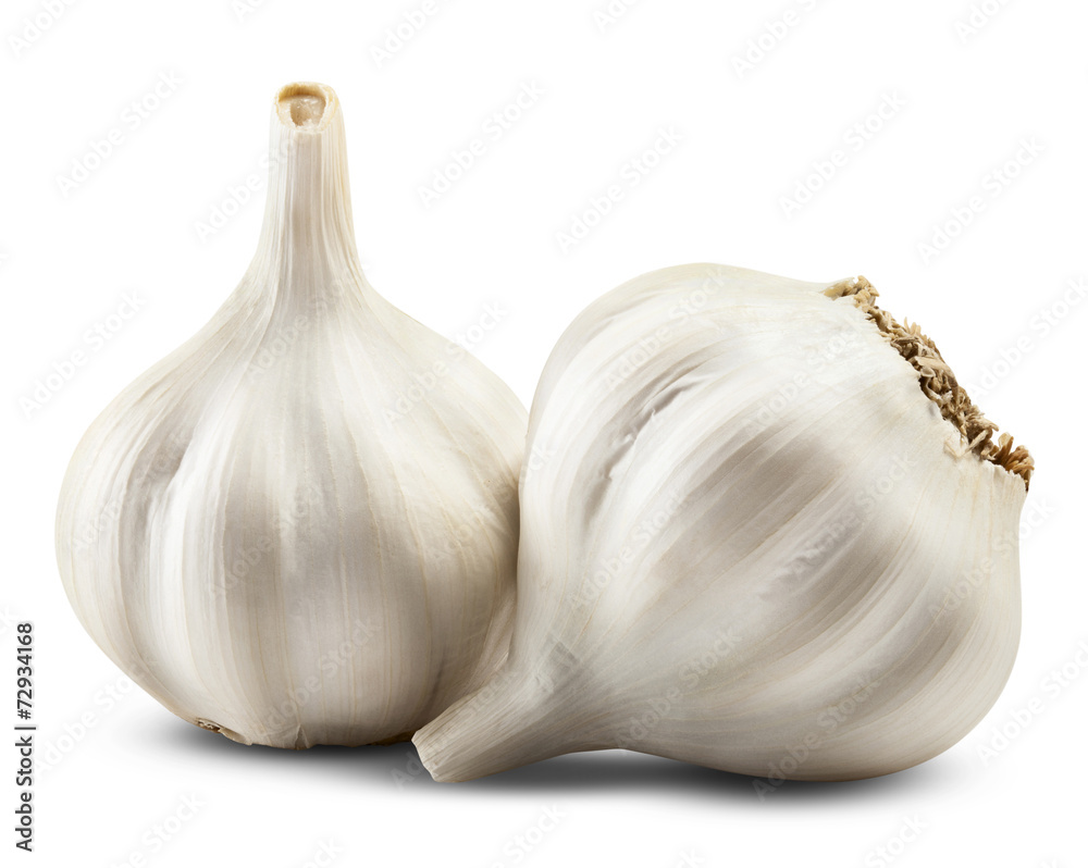 Obraz premium garlic isolated