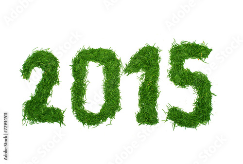 2015 of spruce needles