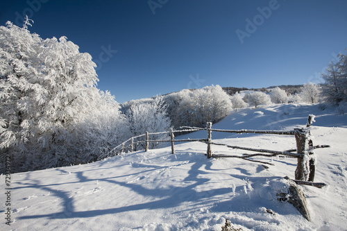 winter in mountain © Igor Syrbu