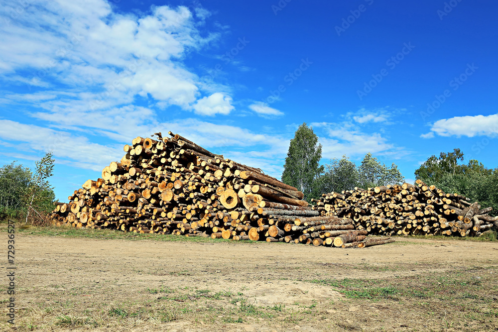 Logs in the logging