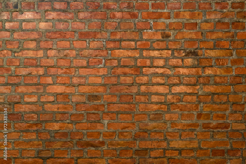 Fototapeta premium Wzór ściany z cegły