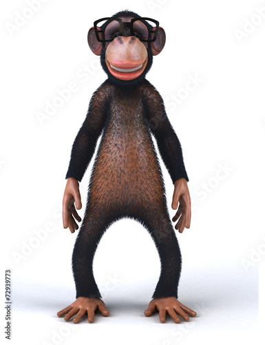 Photography Fun monkey